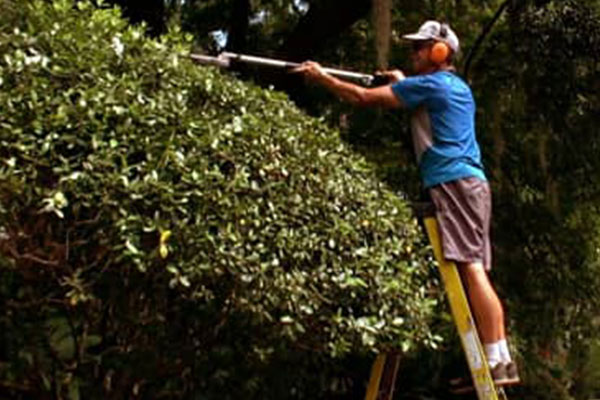 Exactech Hip Replacement Patient Story