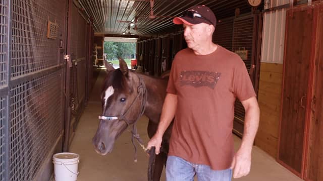 Shoulder Replacement Patient Story